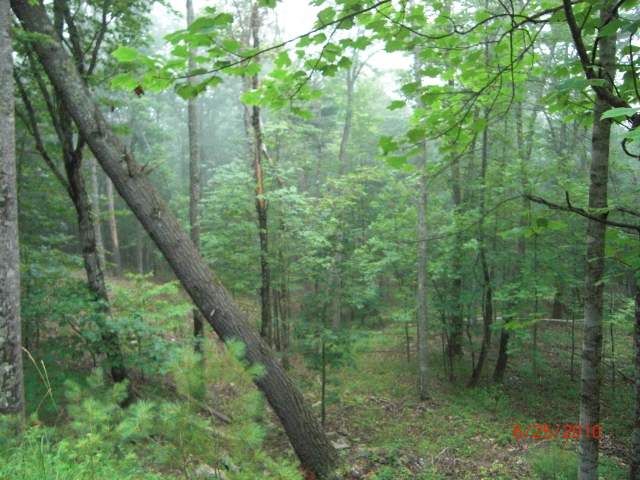06-25_Back_from Brown-Sea_007.jpg